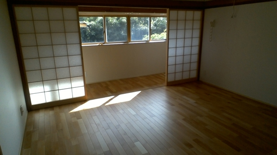 C���̋���