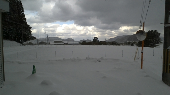 �����ꏊ����̐�i�F